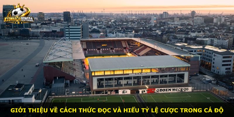 Giới thiệu về cách thức đọc và hiểu tỷ lệ cược trong cá độ