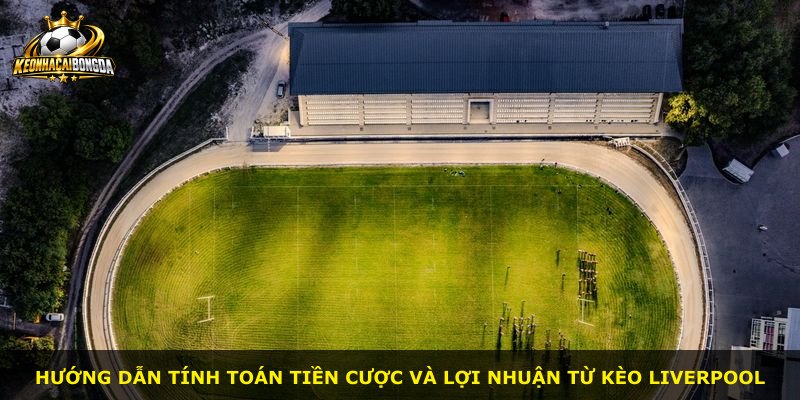 Hướng dẫn tính toán tiền cược và lợi nhuận từ kèo Liverpool