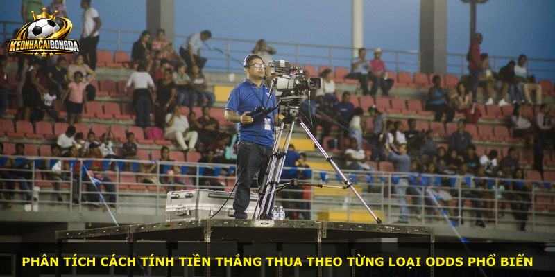 Phân tích cách tính tiền thắng thua theo từng loại odds phổ biến