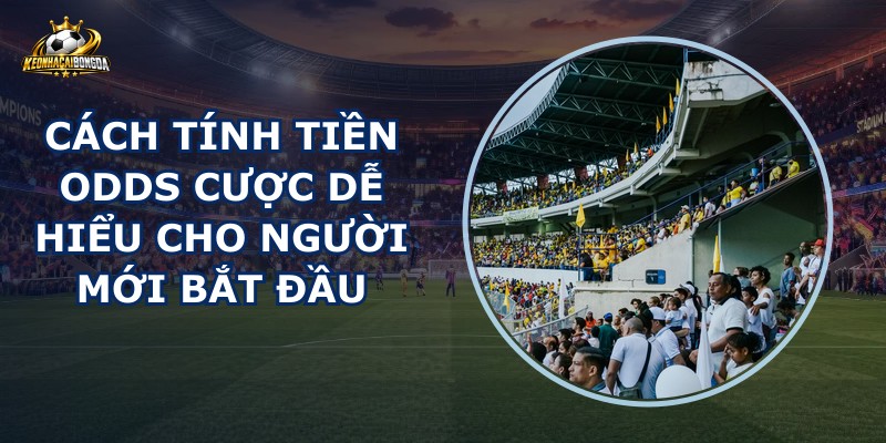 Cách Tính Tiền Odds Cược