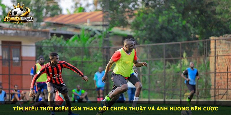 Tìm hiểu thời điểm cần thay đổi chiến thuật và ảnh hưởng đến cược
