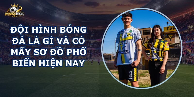 Đội Hình Bóng Đá