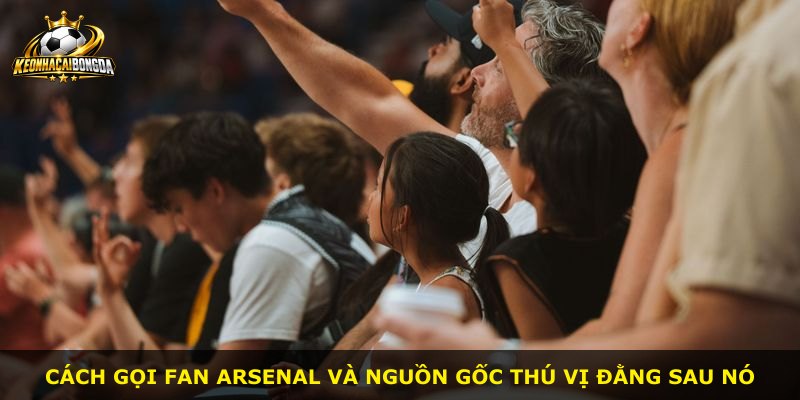Cách gọi fan Arsenal và nguồn gốc thú vị đằng sau nó