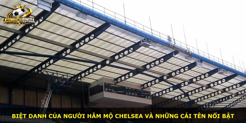 Biệt danh của người hâm mộ Chelsea và những cái tên nổi bật