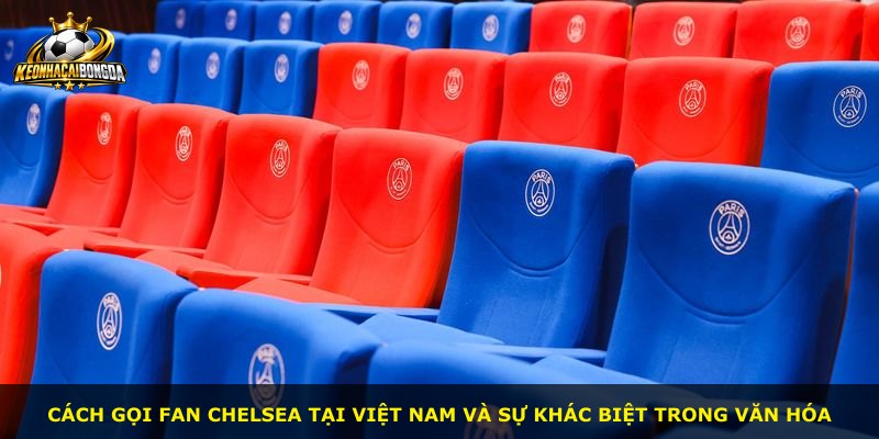 Cách gọi fan Chelsea tại Việt Nam và sự khác biệt trong văn hóa
