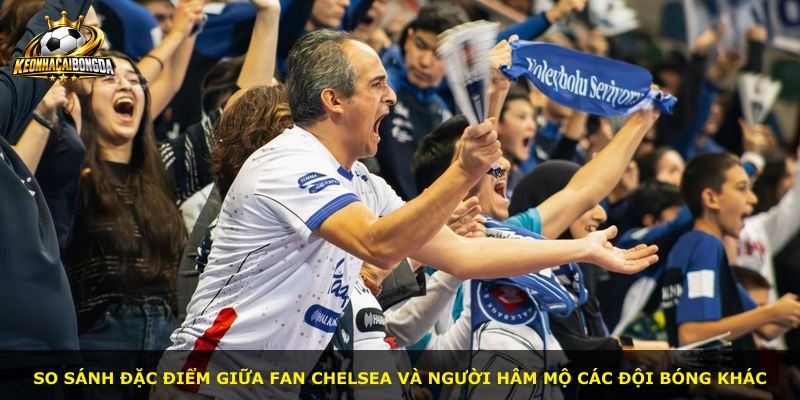 So sánh đặc điểm giữa fan Chelsea và người hâm mộ các đội bóng khác