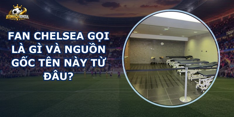 Fan Chelsea Gọi Là Gì