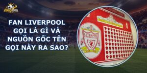 Fan Liverpool Gọi Là Gì