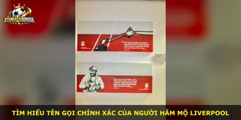 Tìm hiểu tên gọi chính xác của người hâm mộ Liverpool