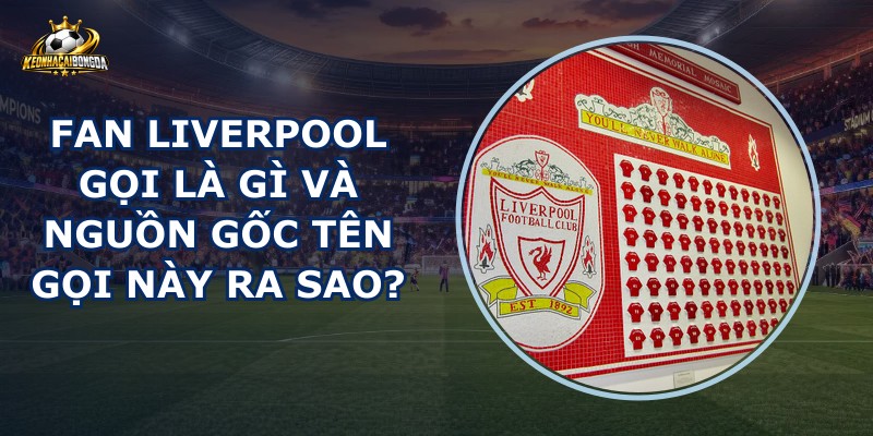 Fan Liverpool Gọi Là Gì
