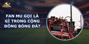 Fan Mu Gọi Là Gì