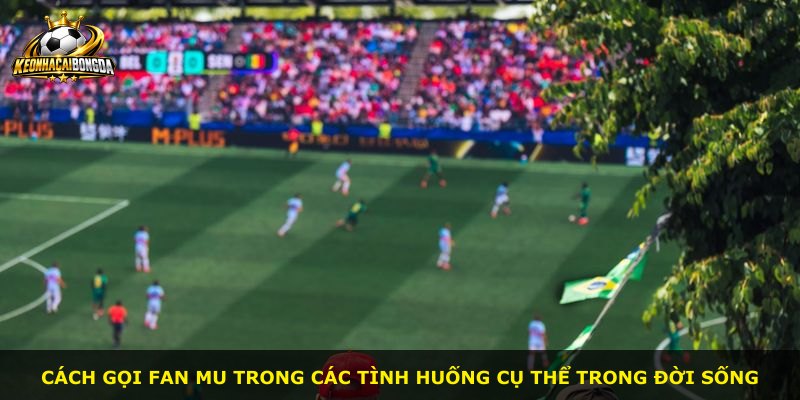 Cách gọi fan MU trong các tình huống cụ thể trong đời sống