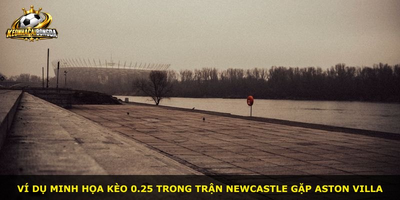 Ví dụ minh họa kèo 0.25 trong trận Newcastle gặp Aston Villa