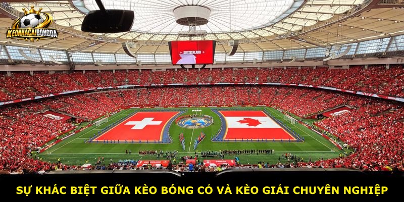 Sự khác biệt giữa kèo bóng cỏ và kèo giải chuyên nghiệp