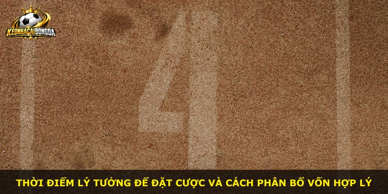 Thời điểm lý tưởng để đặt cược và cách phân bổ vốn hợp lý