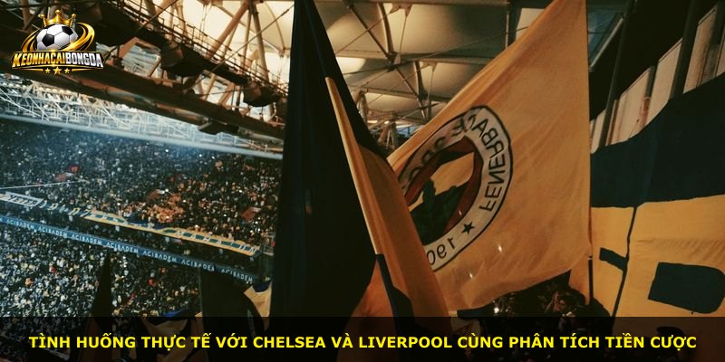Tình huống thực tế với Chelsea và Liverpool cùng phân tích tiền cược