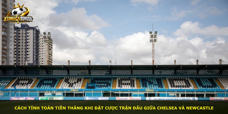 Cách tính toán tiền thắng khi đặt cược trận đấu giữa Chelsea và Newcastle