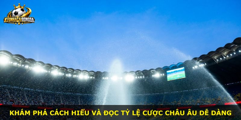 Khám phá cách hiểu và đọc tỷ lệ cược Châu Âu dễ dàng