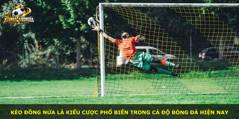 Kèo Đồng Nửa là kiểu cược phổ biến trong cá độ bóng đá hiện nay