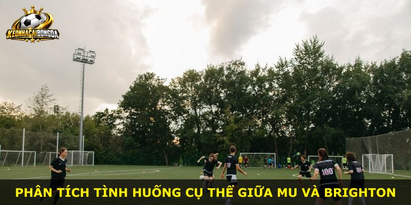 Phân tích tình huống cụ thể giữa MU và Brighton