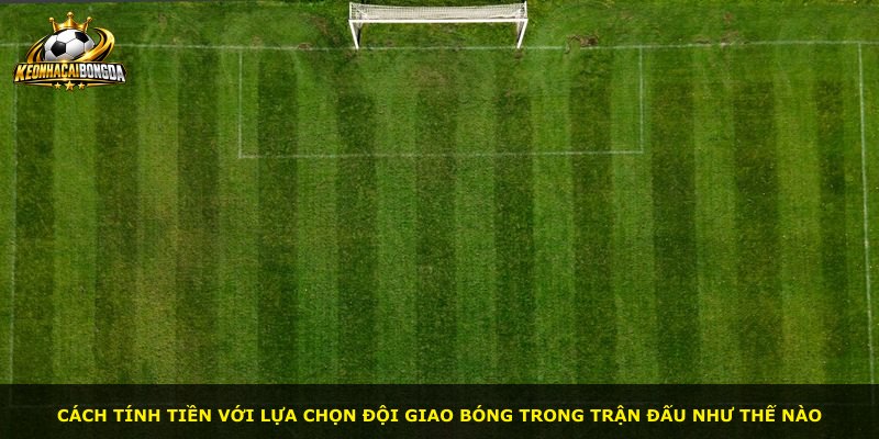 Cách tính tiền với lựa chọn đội giao bóng trong trận đấu như thế nào