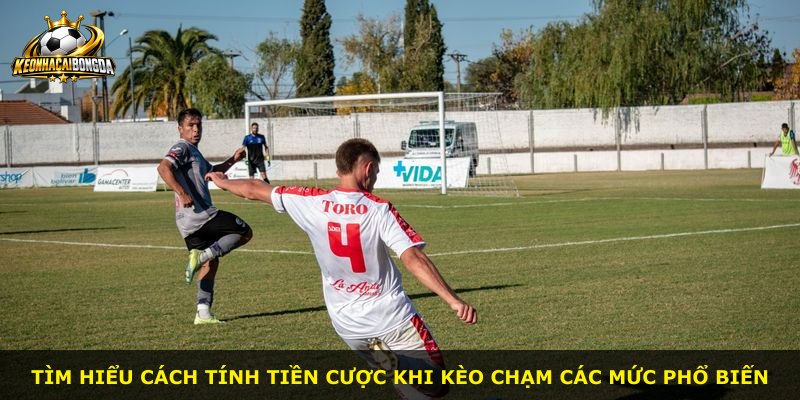 Tìm hiểu cách tính tiền cược khi kèo chạm các mức phổ biến