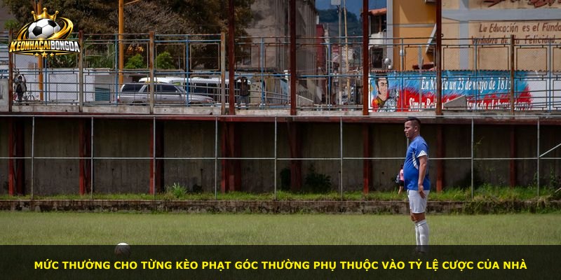 Mức thưởng cho từng kèo phạt góc thường phụ thuộc vào tỷ lệ cược của nhà
