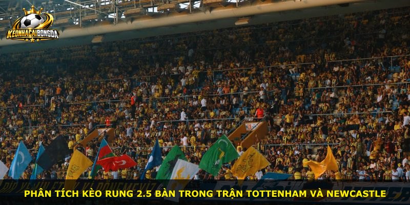 Phân tích kèo rung 2.5 bàn trong trận Tottenham và Newcastle