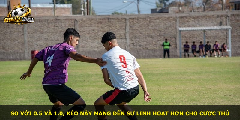 So với 0.5 và 1.0, kèo này mang đến sự linh hoạt hơn cho cược thủ