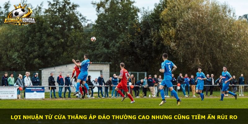 Lợi nhuận từ cửa thắng áp đảo thường cao nhưng cũng tiềm ẩn rủi ro