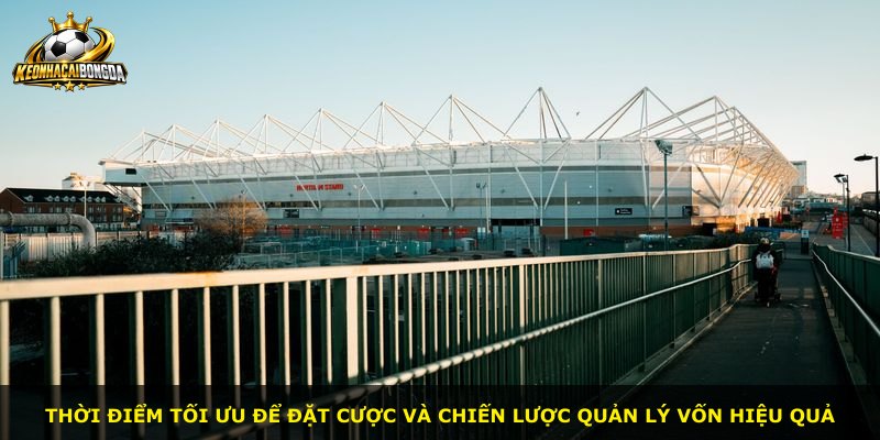 Thời điểm tối ưu để đặt cược và chiến lược quản lý vốn hiệu quả
