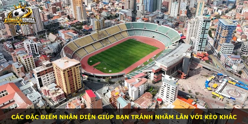 Các đặc điểm nhận diện giúp bạn tránh nhầm lẫn với kèo khác
