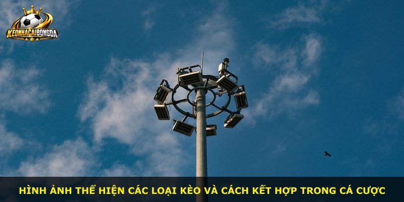 Hình ảnh thể hiện các loại kèo và cách kết hợp trong cá cược