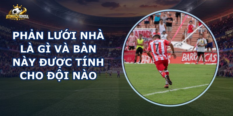Phản Lưới Nhà Là Gì