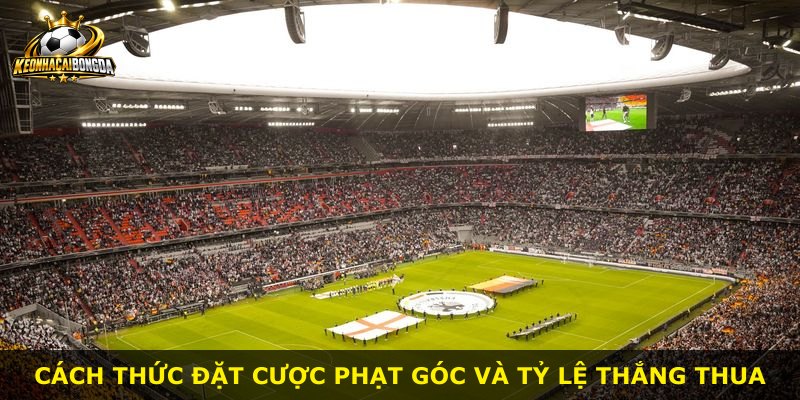 Cách thức đặt cược phạt góc và tỷ lệ thắng thua