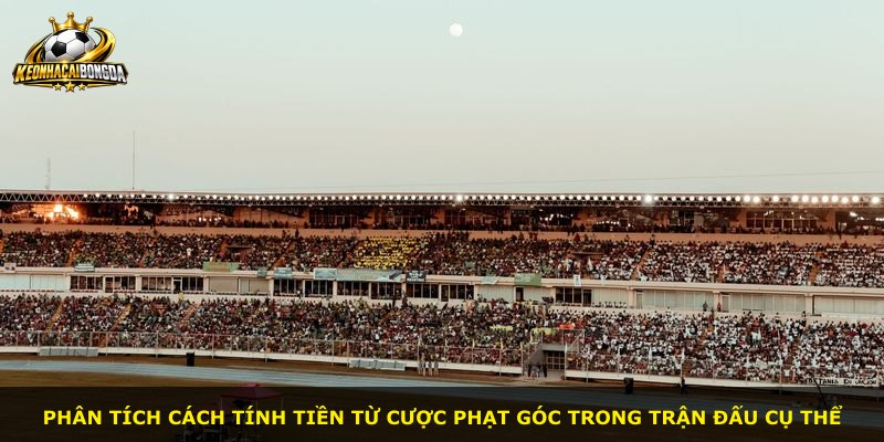 Phân tích cách tính tiền từ cược phạt góc trong trận đấu cụ thể