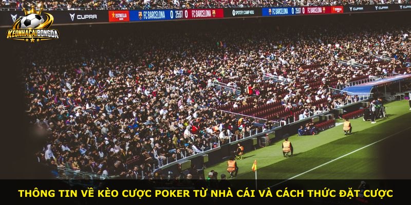 Thông tin về kèo cược poker từ nhà cái và cách thức đặt cược