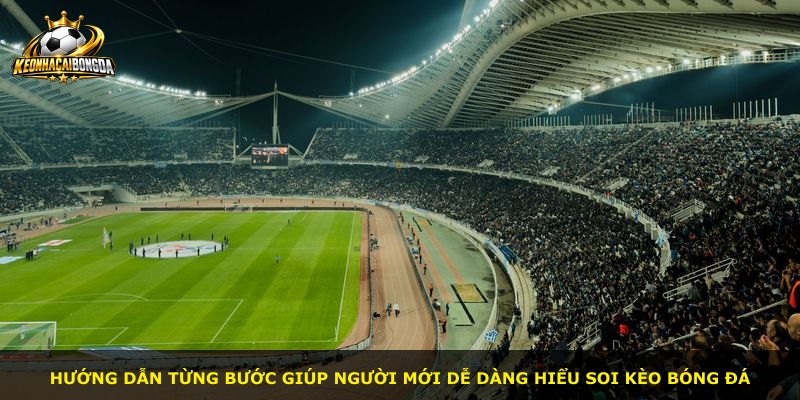 Hướng dẫn từng bước giúp người mới dễ dàng hiểu soi kèo bóng đá