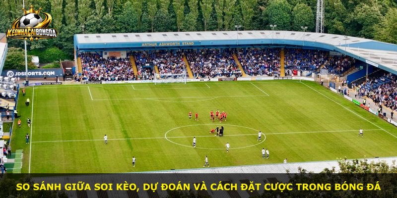 So sánh giữa soi kèo, dự đoán và cách đặt cược trong bóng đá