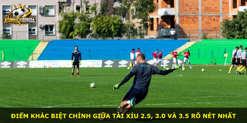 Điểm khác biệt chính giữa Tài Xỉu 2.5, 3.0 và 3.5 rõ nét nhất