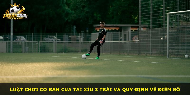 Luật chơi cơ bản của Tài Xỉu 3 Trái và quy định về điểm số