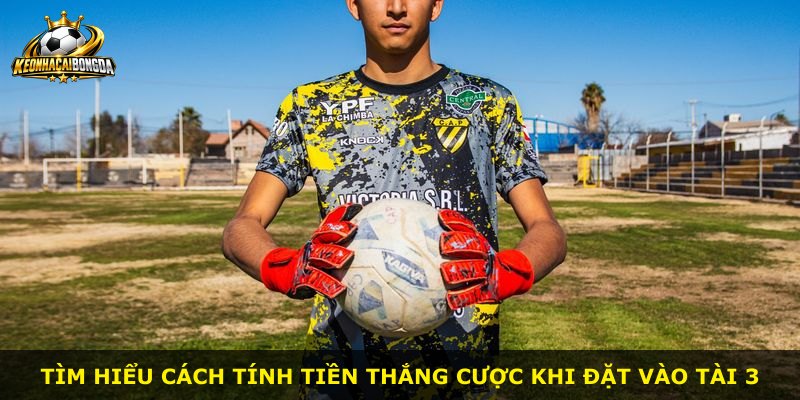 Tìm hiểu cách tính tiền thắng cược khi đặt vào Tài 3