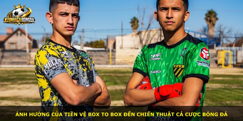 Ảnh hưởng của tiền vệ box to box đến chiến thuật cá cược bóng đá