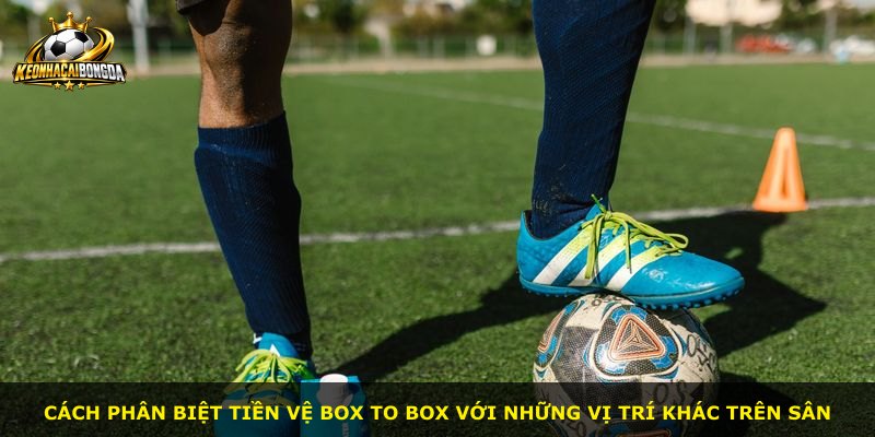 Cách phân biệt tiền vệ box to box với những vị trí khác trên sân