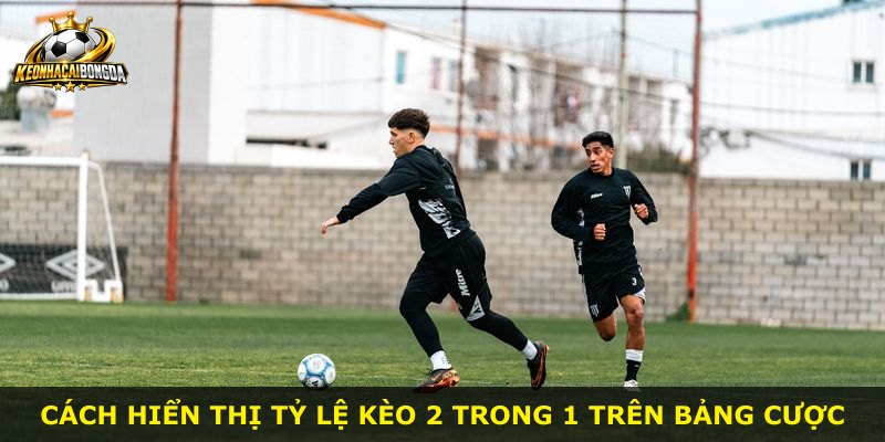Cách hiển thị tỷ lệ kèo 2 trong 1 trên bảng cược