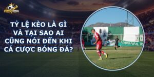 Tỷ Lệ Kèo Là Gì