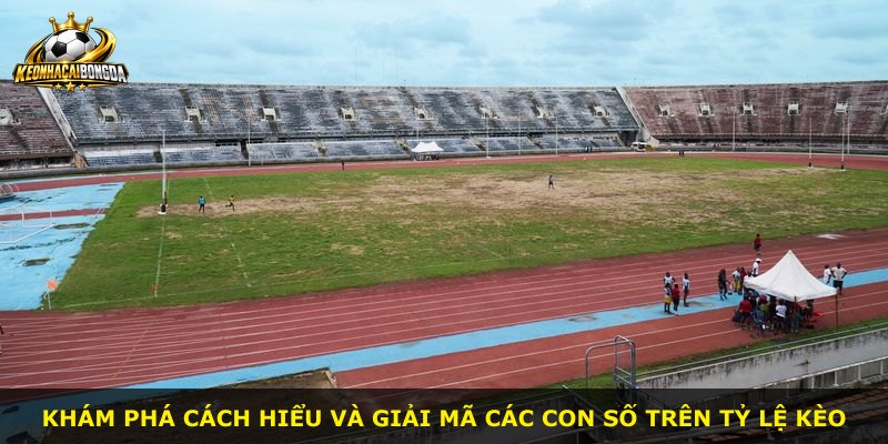 Khám phá cách hiểu và giải mã các con số trên tỷ lệ kèo